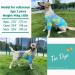 PriPre Tie Dye Dog Clothes - Breathable Cotton Shirt for Large Dogs - Tiedye Blue 3XL - Buy Online on GoSupps.com