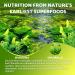Organic Spirulina Chlorella Gummies Super Greens Blend with Protein Chlorophyll Vitamin C D3 B12 Zinc Supports Daily Energy Immune System & Antioxidant Intake Pineapple Flavor 60 Count 60 Count (Pack of 1) - Buy Online on GoSupps.com