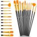 Caliart Acrylic Paint Set - 24 Colors (59ml/2oz) with 12 Brushes - Ideal for Artists, Kids, Beginners - Easter Basket Stuffers - Pumpkin Canvas, Ceramic, Rock Painting Supplies - Buy Online on GoSupps.com