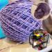 LAMXD Hand Operated Yarn Ball Winder - Portable & Easy to Use with Metal Handle and Clamp - Includes Yarn Needles Set - Buy Online on GoSupps.com