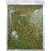 Dried French Tarragon - 200g: Premium Quality Herb for Cooking and Seasoning - Buy Online on GoSupps.com