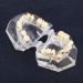 Bovdc Orthodontic Tooth Model for Malocclusion Study - Dental Education & Treatment Guide - Buy Online on GoSupps.com