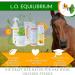 Umbrella Equilibrium 2-in-1 - Natural UV and After Sun Protection Cream for Horses - Calendula Carrot Wheat Germ Lavender and Mineral UV Filters - Buy Online on GoSupps.com