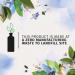 Herbal Essences Bio Refresh Blue Ginger & Micellar Water Shampoo 13.5oz - Floral Fresh Scent - 1 Pack - Buy Online on GoSupps.com