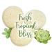 Sweet & Sassy Shampoo + Conditioner Bars - Natural & Organic, SLS-Free, Color-Safe - Coconut Lime Scent - Made in USA - Buy Online on GoSupps.com