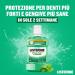 Buy Listerine Mouthwash 2L - Fresh Mint Flavor Fluoride Protection for Teeth & Gums | Strong Oral Hygiene Solution - Buy Online on GoSupps.com