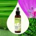 Plant Therapy Nature Shield Spray 4 oz - DEET-Free Insect Repellent with Essential Oils Aloe & Hydrosols for Outdoor Adventures - Buy Online on GoSupps.com