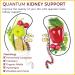 Quantum Kidney Support with Fermented Cordyceps - 60 Plant-Based Capsules - Buy Online on GoSupps.com