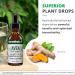 NutraMedix Avea Turmeric Extract - Liquid Turmeric Supplement for Stress Mood Support & Promoting a Healthy Inflammatory Response - Daily Stress Relief Drops (1oz / 30ml) 1 Fl Oz (Pack of 1) - Buy Online on GoSupps.com