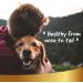 Natural Sun Protection Spray for Dogs & Cats | 250ml Sunscreen Fluid - Linea 101 - Buy Online on GoSupps.com