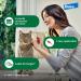 Advantage XD Flea Prevention for Small Cats (1.8-9 lbs) - Long-Lasting Treatment - 2 Pack - Buy Online on GoSupps.com