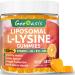 Liposomal L-lysine Gummies 1200mg, Lysine Chewable Supplement with Vitamin C, D3, B12 & Zinc for Adults & Kids, Immune & Collagen Support, Lips & Skin Health, Vegan, Natural Fruit Flavor, 60CT