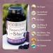 The POWER of Elderberries Elderberry Syrup Bites Vegetarian-Friendly Elderberry Vitamins with Black Elderberry for Immune Support Sambucus Elderberry Without Artificial Sweeteners 40 Count - Buy Online on GoSupps.com