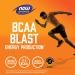 Now Foods Sports BCAA Blast Natural Raspberry - 600g | Boost Recovery & Performance - Buy Online on GoSupps.com