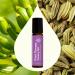 Plant Therapy Tummy Aid Essential Oil Blend Pre-Diluted Roll-On 10 mL (1/3 oz) 100% Pure Soothing Digestive Relief - Buy Online on GoSupps.com