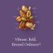 Sahale Snacks Creole Bean & Nut Mix - 4 oz Gourmet Snack - Buy Online on GoSupps.com