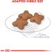 Royal Canin Dog Food Mini Adult 2 kg Chicken 2 kg (Pack of 1) - Buy Online on GoSupps.com