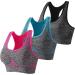 Angxiwan Women's Fitness Bustier - Seamless Bralettes & Low Support Active Wear for International Shipping - Buy Online on GoSupps.com