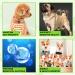 3-in-1 Dog Probiotic Drops - Relieve Diarrhea, Support Gut Health, Immunity & Skin - Bacon Flavor - 60ml - Buy Online on GoSupps.com