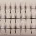 Scala Pro 3D Mink Phoenix Tail False Eyelashes Cluster 5 Root C Curl Extension - 13MM - Buy Online on GoSupps.com