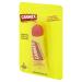 Buy Carmex Original Lip Balm Tube 10g (Pack of 12) - Soothing & Moisturizing | International Shipping Available - Buy Online on GoSupps.com