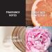 Lucky You Women's Perfume Eau de Toilette Spray 3.4 Fl Oz - Fresh Flower Citrus Scent for Day or Night - Buy Online on GoSupps.com