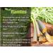 TNVitamins Glucomannan Capsules 2000mg - 250 Count | Natural Konjac Root Fiber Extract | Dietary & Digestive Fiber Supplement | Made in USA | Non-GMO - Buy Online on GoSupps.com