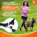2-in-1 Jogging Leash & Dog Leash for Large/Medium Dogs | Double Handle & Belly Belt | Ideal for Walking Jogging Hiking - Blue - Buy Online on GoSupps.com
