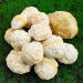 Pair of Agate Geode Natural Reiki Rock Used for Clarity and Purpose Crystal Cluster Gemstone Specimen for Ornaments D cor Artwork Gifts 100-200g Gift (Size : 200-260g) - Buy Online on GoSupps.com