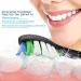 Qtitrus Replacement Brushes for Philips Sonicare Electric Toothbrush - Compatible Toothbrush Heads for Diamond Protective Expert Daily Clean - 12 Black - Buy Online on GoSupps.com