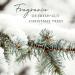 Thymes Frasier Fir Laundry Fragrance Oil – Scented Dryer Supplies for Fresh-Smelling Laundry (0.5 fl oz - Buy Online on GoSupps.com
