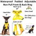 Dexil Limited Yellow Color Coded Non-Pull Dog Harness - XS 13-19 Inch Chest/Girth - Buy Online on GoSupps.com