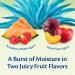 Blistex Lip Succulence Tropical - 2 Pack (0.15 oz Each) | Moisturizing Lip Balm - Buy Online on GoSupps.com