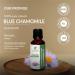 100% Pure Blue Chamomile Essential Oil - Natural & Therapeutic Grade - 0.16 Fl.Oz (4.7 ml) - International Shipping Available - Buy Online on GoSupps.com