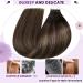 Buy Laavoo Balayage Tape-In Extensions - Real Remy Human Hair #2/8/2 40cm - Darkest Brown to Light Brown Ombre 50g 20pcs - International Shipping Available - Buy Online on GoSupps.com