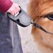 Buy Ferplast Flippy One Dog Leash for Large Dogs up to 35 kg - 5m Retractable Roller Leash with One-Button Lock - Red - Buy Online on GoSupps.com
