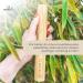 Buy Bambuna Bamboo Travel Toothbrush Etui | Eco-Friendly Plastic-Free Robust Cover | Made in Germany - Buy Online on GoSupps.com