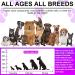 15-in-1 Dog Vitamins and Supplements 150 Chews Dog Vitamins for Dogs Hip and Joint Skin Coat Skin Health Gut Health Heart Health for All Breeds and Ages Dogs - Buy Online on GoSupps.com