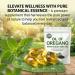 BOFEAFQ Aceite De Oregano Capsulas 2 in 1 Formulated with Black Seed Oil 4X Strength Carvacrol & Thymoquinone Plant Based Non-GMO 150 Count - Buy Online on GoSupps.com