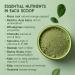 SuperSelf Organic Super Greens Powder - No Additives - 12 Supergreens - Daily Superfood Green Powder with Matcha Spirulina Wheatgrass Chlorella Acai - 40 Servings - High in Vitamins Protein Fibre 200 g (Pack of 1) - Buy Online on GoSupps.com