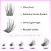 VEYESBEAUTY Dreamy Cluster Lashes Kit - DIY Dramatic Volume Eyelash Extensions | Faux Mink Wispy Lashes | Mixed Length Tray with Bond & Seal for Easy Application at Home - Buy Online on GoSupps.com