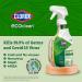 Clorox CloroxPro EcoClean Disinfecting Cleaner Spray 32oz Bottle (Pack of 1) - Buy Online on GoSupps.com