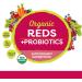 Organic Reds Probiotics Powder | Antioxidant Superfood | Boost Energy | Non-GMO | Mixed Berry Flavor - 30 Servings - Buy Online on GoSupps.com