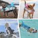 Cit toile Dog Swimming Vest - Shark Design Life Jacket for Small Medium & Large Dogs - Reflective with Handle - Protects in Sea Lake & River - Gray - Buy Online on GoSupps.com