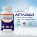 Vitamatic Astragalus Capsules 2000mg - 200 Count - Immune System Support Supplement - Buy Online on GoSupps.com
