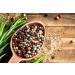 Buy JKR Spices Colorful Pfeffer 1000g - Premium Green Pink Beige & Black Peppercorns for Mills & Mortars - High-Quality Whole Pepper Grains - Buy Online on GoSupps.com