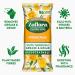 Zoflora Springtime Biodegradable Wipes Antibacterial Multi-surface Cleaning Wipes Convenient Quick Cleaning (Pack of 1 96 Wipes) - Buy Online on GoSupps.com