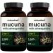 2 Pack NatureBell Mucuna Pruriens Capsules 1500mg Per Serving Made with Mucuna and Ashwagandha 480 Capsules 2 in 1 Formula Contains Mucuna Pruriens Seeds for Mood Mind and Brain Health 240 Count (Pack of 2)