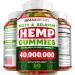 Maxibears Hemp Gummies - Rich in Vitamins B, E & Omega 3-6-9 - High Potency Herbal Gummies - 60 pcs