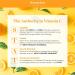 BeautyStat Universal Essentials Skincare Kit: Vitamin C Serum & Hyaluronic Acid Face Cream Travel Set - Buy Online on GoSupps.com